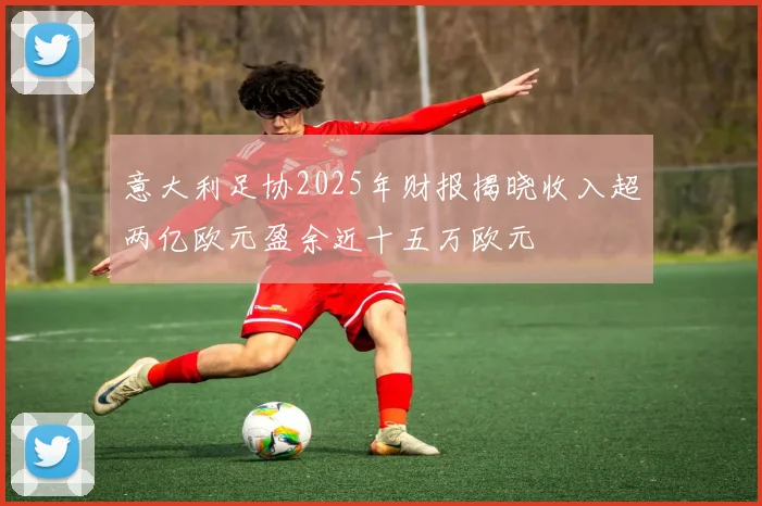 意大利足协2025年财报揭晓收入超两亿欧元盈余近十五万欧元